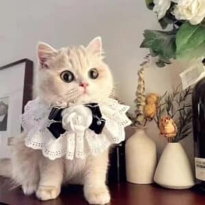 Polyester Pet Scarf & Bib for Dogs and Cats - Christmas Edition