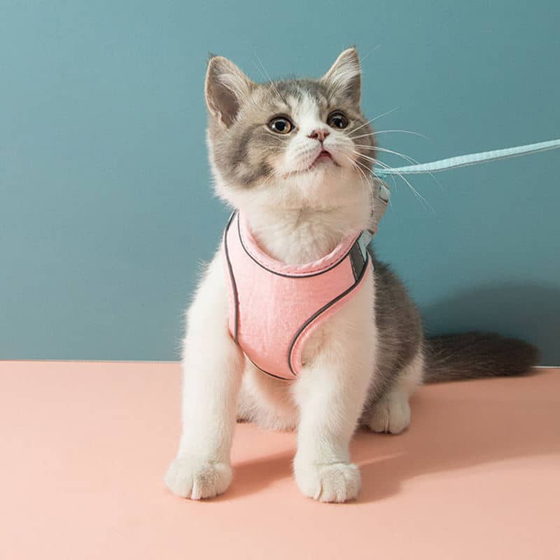Reflective Step-In Soft Mesh Pet Harness – Escape Proof Vest for Dogs & Cats, Safe Outdoor Walking - Image 2