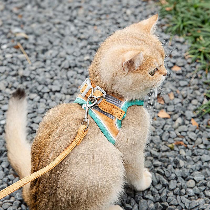 Reflective Step-In Soft Mesh Pet Harness – Escape Proof Vest for Dogs & Cats, Safe Outdoor Walking - Image 4