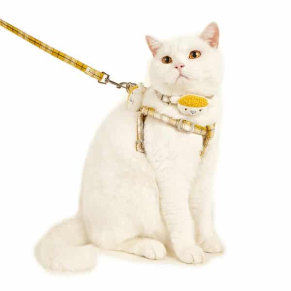 Waterproof Adjustable Cat Harness & Leash Set - Anti-Strangulation Design